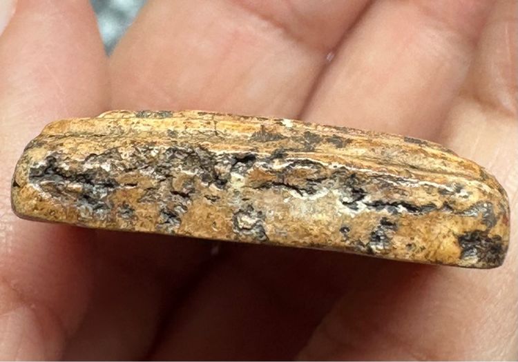 องค์ละ1000🙏พระสมเด็จพระบ้านพิมพ์ ต่างๆ รูปที่ 5