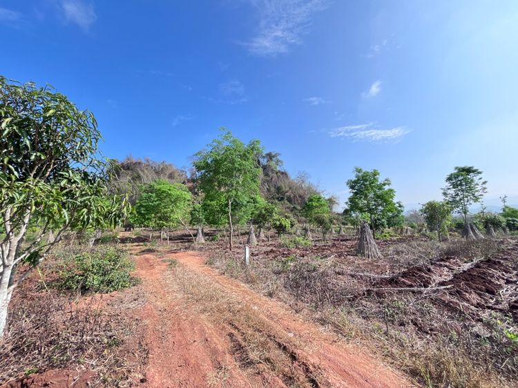 ขายที่ดิน2ไร่ จำนวน2แปลง รวม4ไร่ ราคาแปลงละ600,000(ต่อรองได้)