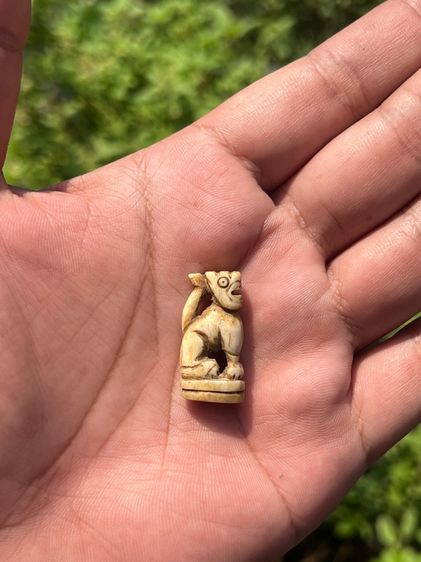 สิงห์ (มีสินค้าหลายรายการกดเข้ามาดูในโปรไฟล์ได้เลยครับ) รูปที่ 8