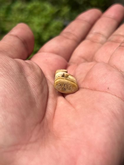 สิงห์ (มีสินค้าหลายรายการกดเข้ามาดูในโปรไฟล์ได้เลยครับ) รูปที่ 6