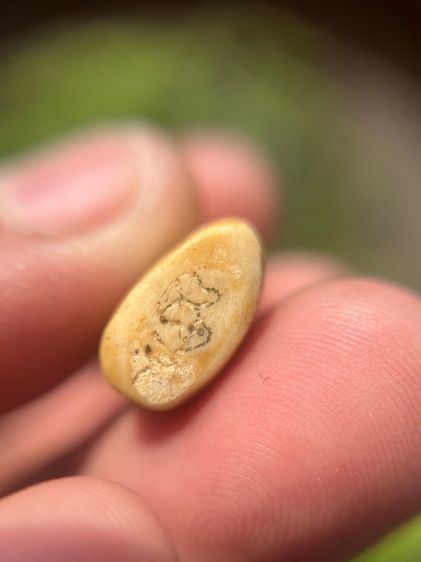 สิงห์ (มีสินค้าหลายรายการกดเข้ามาดูในโปรไฟล์ได้เลยครับ) รูปที่ 4