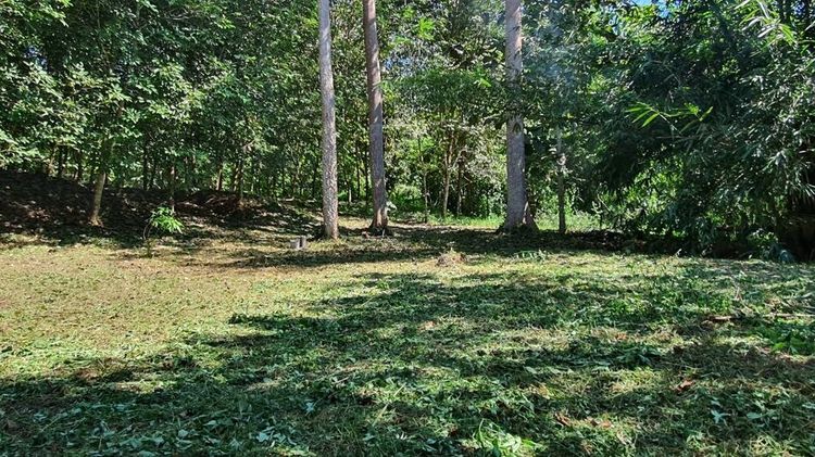 Private Island Style Land in Nan รูปที่ 4