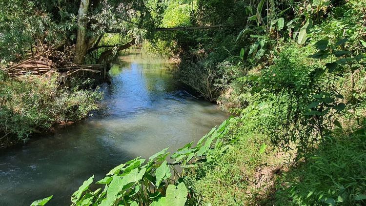 Private Island Style Land in Nan รูปที่ 2