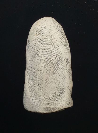 พระรอด พิมพ์ใหญ่ เนื้อสีขาว รูปที่ 2