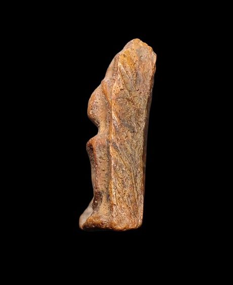 พระนางพญา จ พิษณุโลก รูปที่ 4