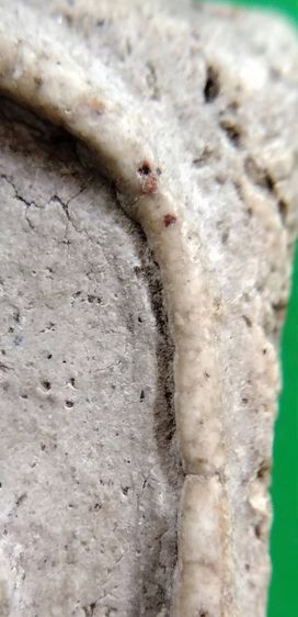 พระสมเด็จ วัดระฆัง บางขุนพรหม วัดเกศไชโย หลวงปู่ภู หลวงปู่นาค รูปที่ 17