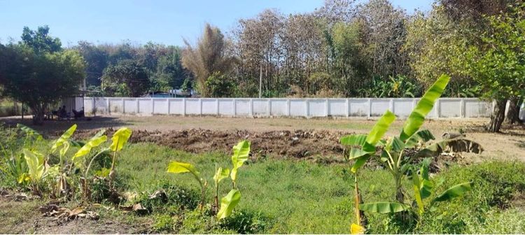 ที่ดิน อ.เเม่เเตง จ.เชียงใหม่ รูปที่ 8