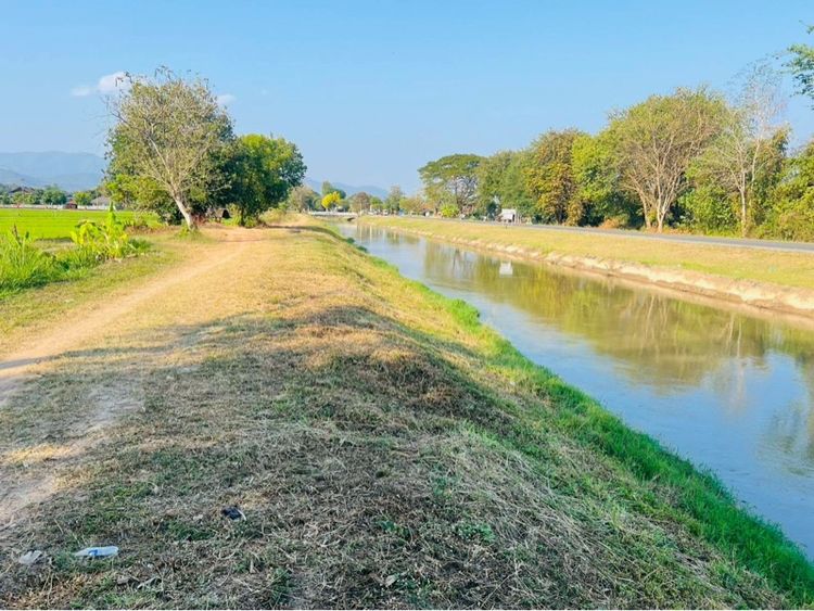 ที่ดิน อ.เเม่เเตง จ.เชียงใหม่ รูปที่ 14