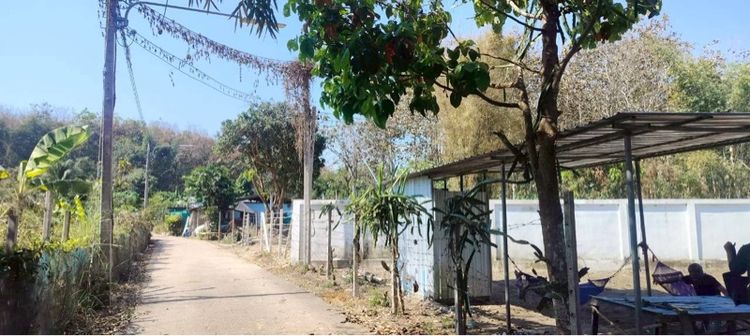 ที่ดิน อ.เเม่เเตง จ.เชียงใหม่ รูปที่ 4