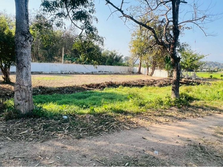 ที่ดิน อ.เเม่เเตง จ.เชียงใหม่ รูปที่ 13