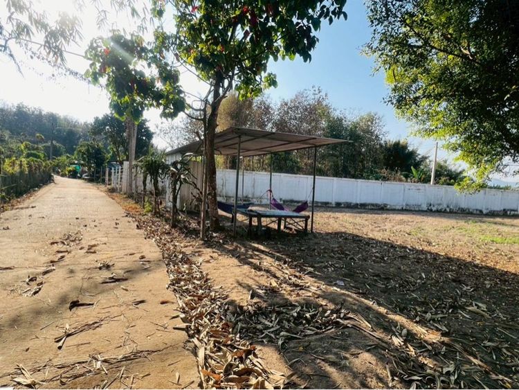 ที่ดิน อ.เเม่เเตง จ.เชียงใหม่ รูปที่ 17