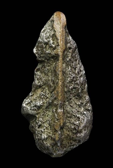 พระสังกัจจายน์อาจารย์ดิษฐ์วัดปากสระ จังหวัดพัทลุง รูปที่ 5