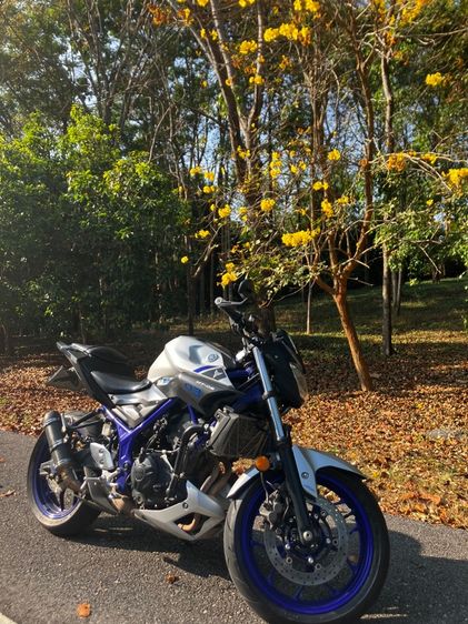 2015 Yamaha MT03