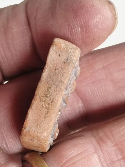 หลวงพ่อปาน รูปที่ 5