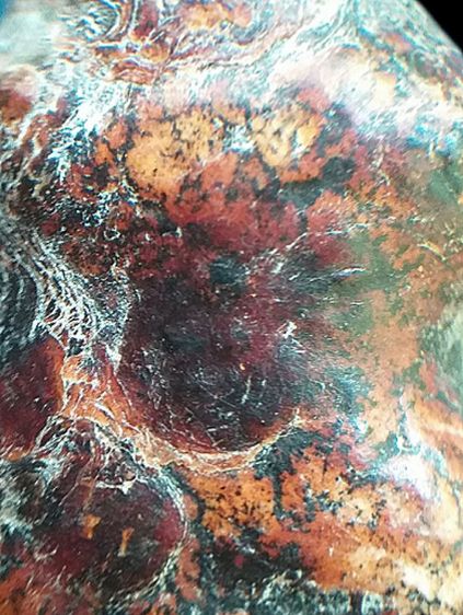 หลวงปู่เอี่ยม วัดสะพานสูง. รูปที่ 12