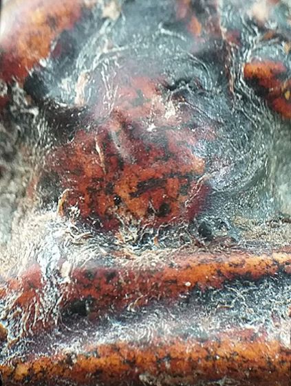 หลวงปู่เอี่ยม วัดสะพานสูง. รูปที่ 8