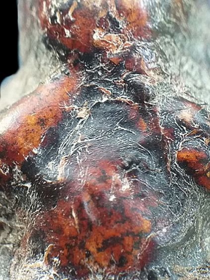 หลวงปู่เอี่ยม วัดสะพานสูง. รูปที่ 7