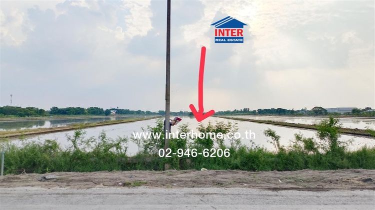 ที่ดินเปล่า 16 ไร่ 274 ตร.ว. ที่ดิน ใกล้ซอยคลองสี่ตะวันออก19 ถนนกาญจนาภิเษก ถนนรังสิต-นครนายก คลองหลวง ปทุมธานี