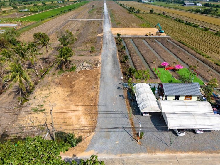 ที่ดินคลอง 8 บึงบอน ฟรีโอน รูปที่ 4