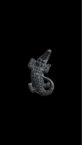 จรเข้ ทบ