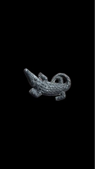 จรเข้ ทบ รูปที่ 4