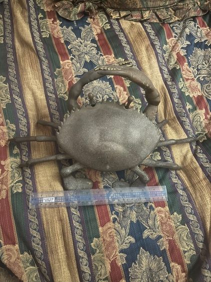 ปู ทองเหลือง รูปที่ 2