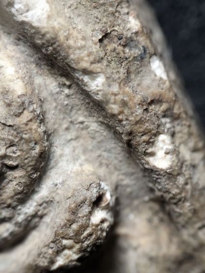 พระสังกัจจายน์ครับ รูปที่ 8