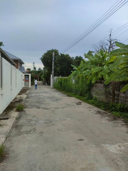 ขายที่ดินเปล่าถมแล้วในถนนลาดพร้าวซอย 48 กรุงเทพมหานคร รูปที่ 2