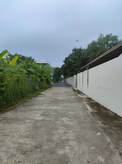 ขายที่ดินเปล่าถมแล้วในถนนลาดพร้าวซอย 48 กรุงเทพมหานคร รูปที่ 3