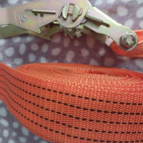 สายรัด ของ รูปที่ 5