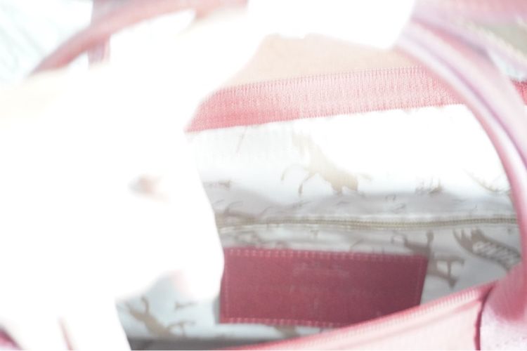 กระเป๋า Longchamp Le Pliage Neo Cavalier Limited Edition สีแดง รูปที่ 9