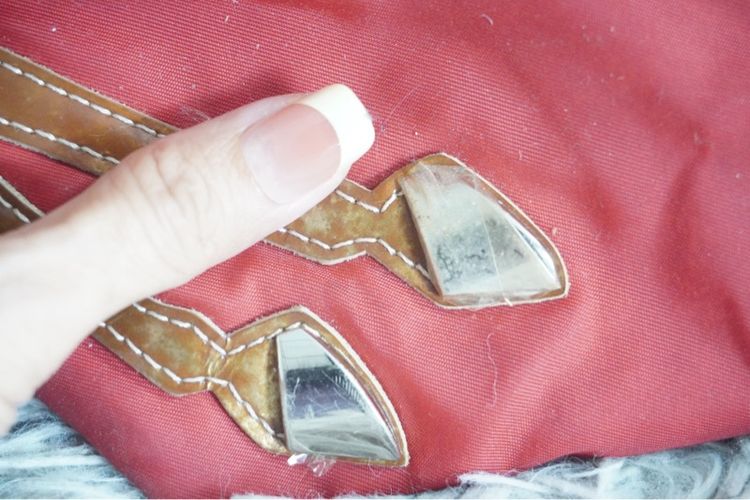 กระเป๋า Longchamp Le Pliage Neo Cavalier Limited Edition สีแดง รูปที่ 8