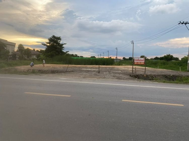 ขายที่ดิน 217 ตรว.ติดถนนใหญ่  รูปที่ 2