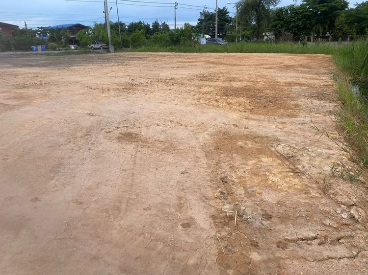 ขายที่ดิน 217 ตรว.ติดถนนใหญ่  รูปที่ 3