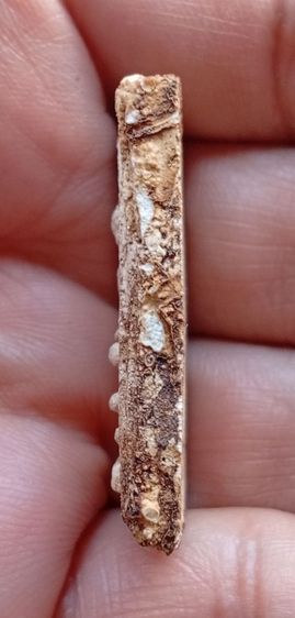 พระสมเด็จบางขุนพรหมพิมพ์ปรกโพธิ์ รูปที่ 17