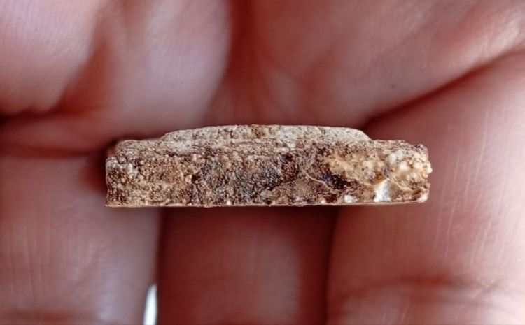 พระสมเด็จบางขุนพรหมพิมพ์ปรกโพธิ์ รูปที่ 18