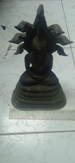 พระนาคปรก รูปที่ 3