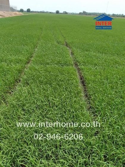 ที่ดินเปล่า 37 ไร่ 84 ตร.ว. ที่ดิน ถนนบางบัวทอง-สุพรรณบุรี ถนนวงแหวนสุพรรณบุรี (357) เมืองสุพรรณบุรี สุพรรณบุรี รูปที่ 2