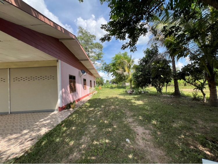 บ้านพร้อมร้านค้า บนที่ดินขนาดใหญ่ 262 ตารางวา ที่ดินถมสูงเท่าถนน ไม่ต้องถมเพิ่ม มีประตูม้วน เปิดร้าน เปิดโกดัง เปิดกิจการได้ทันที รูปที่ 4