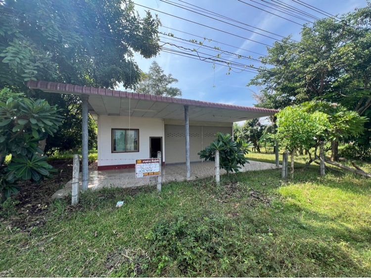 บ้านพร้อมร้านค้า บนที่ดินขนาดใหญ่ 262 ตารางวา ที่ดินถมสูงเท่าถนน ไม่ต้องถมเพิ่ม มีประตูม้วน เปิดร้าน เปิดโกดัง เปิดกิจการได้ทันที รูปที่ 2