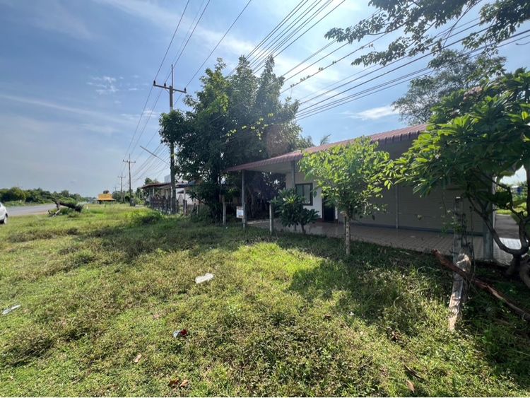 บ้านพร้อมร้านค้า บนที่ดินขนาดใหญ่ 262 ตารางวา ที่ดินถมสูงเท่าถนน ไม่ต้องถมเพิ่ม มีประตูม้วน เปิดร้าน เปิดโกดัง ขายด่วน รูปที่ 3