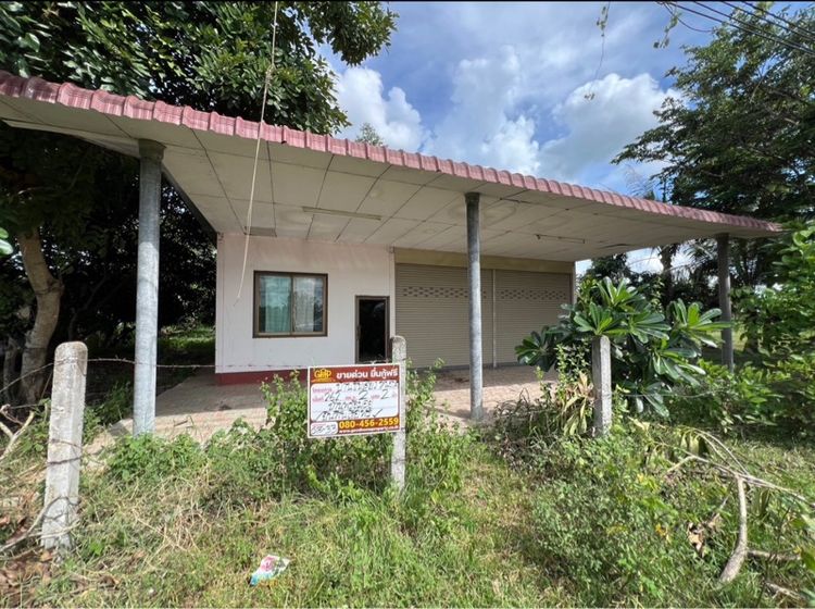 บ้านพร้อมร้านค้า บนที่ดินขนาดใหญ่ 262 ตารางวา ที่ดินถมสูงเท่าถนน ไม่ต้องถมเพิ่ม มีประตูม้วน เปิดร้าน เปิดโกดัง ขายด่วน