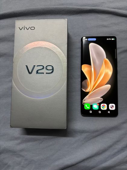 256 GB vivo v29