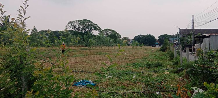 ขาย-เช่าระยะยาว  ที่ดินเปล่าถมแล้ว 4-2-88 ไร่ ( 40 x 199 ม.) พระยาสุเรนทร์ 30 ตรงข้ามหมู่บ้านชัยพฤกษ์