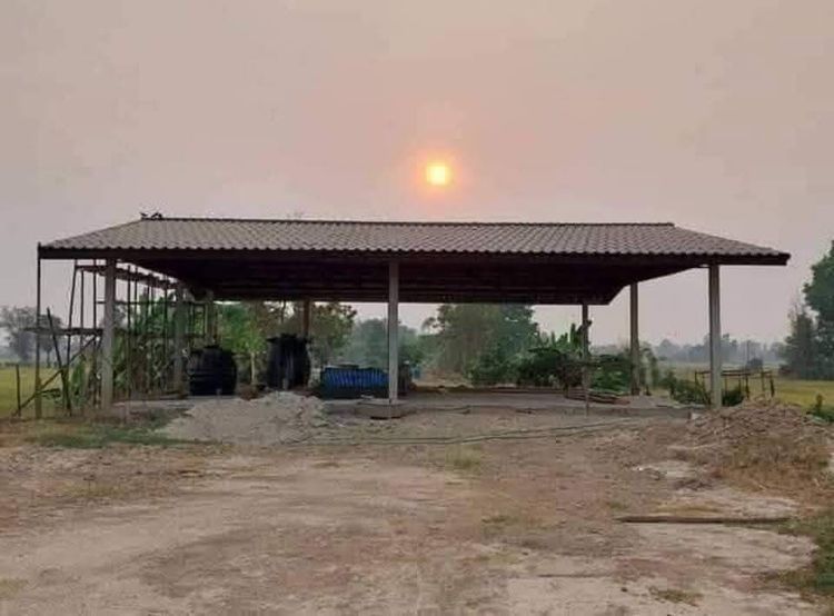 ขายที่ดินติดถนนสายพันเสา-แหลมมะค่า จ.พิษณุโลก รูปที่ 4