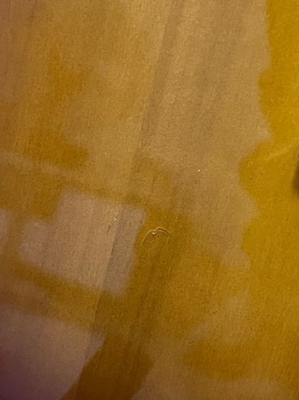 Squier Affinity Telecaster รูปที่ 9