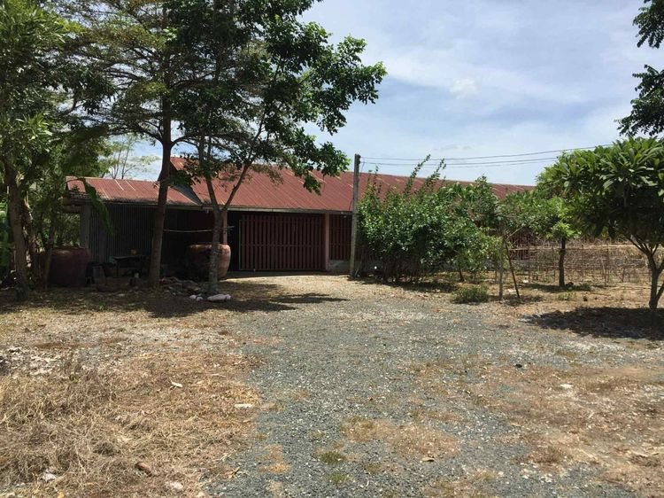 ขายที่ดิน ขายที่ดินเมืองเพชรบูรณ์ ขายที่ดินอำเภอเมือง รูปที่ 2