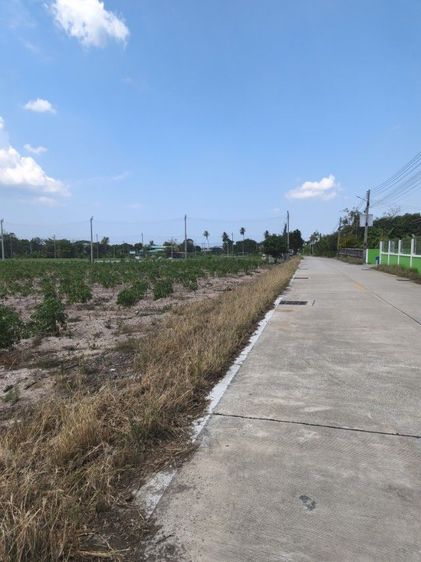 ขายที่ดินบางแสนชลบุรี ที่สวยวิวเขา ใกล้ถ.ข้าวหลาม เดินทางสะดวกใกล้มอเตอร์เวย์ ใกล้โรงเรียนสารสาสน์วิเทศบูรพา เจ้าของลงเอง โทรมาสอบถามได้ค่ะ