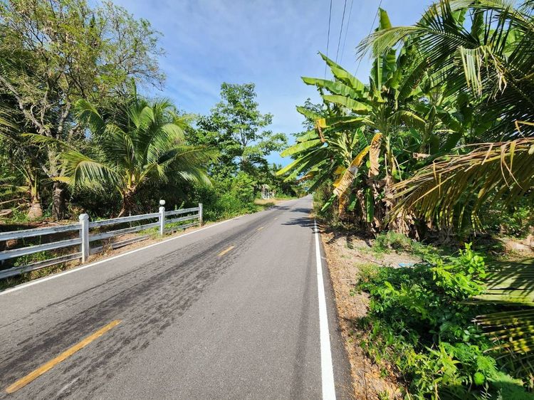  ขายที่ดินอัมพวาราคาถูก  รูปที่ 4