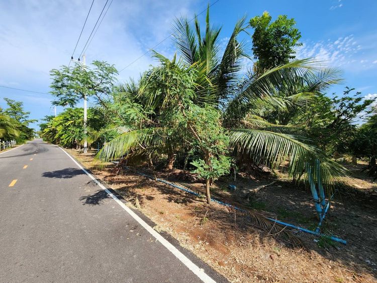  ขายที่ดินอัมพวาราคาถูก  รูปที่ 3